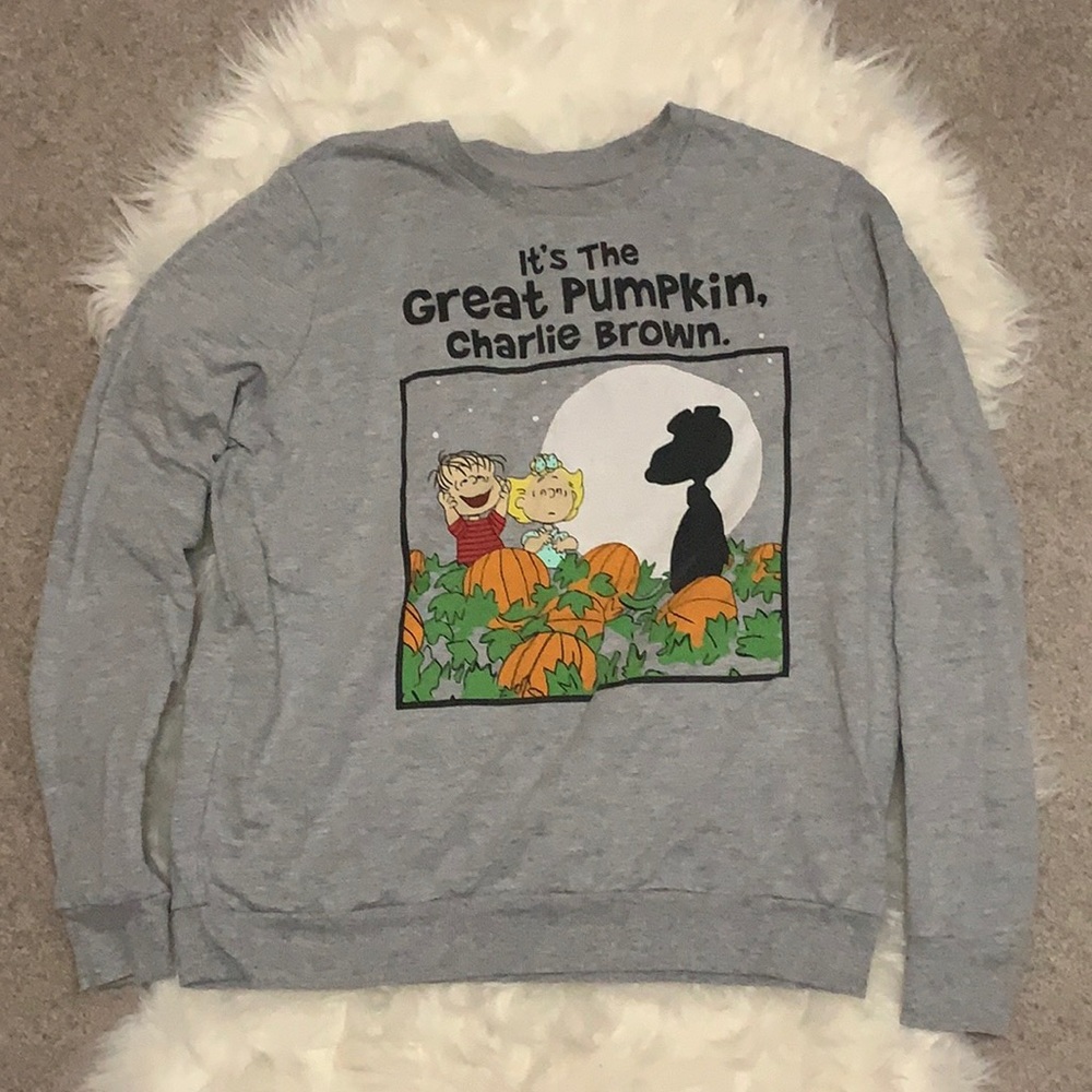 🌸 Charlie Brown Gray Long Sleeve Top